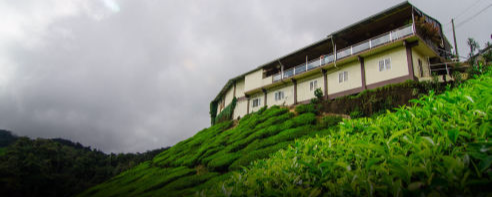 hillgarden